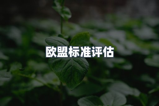 电子电器CE认证